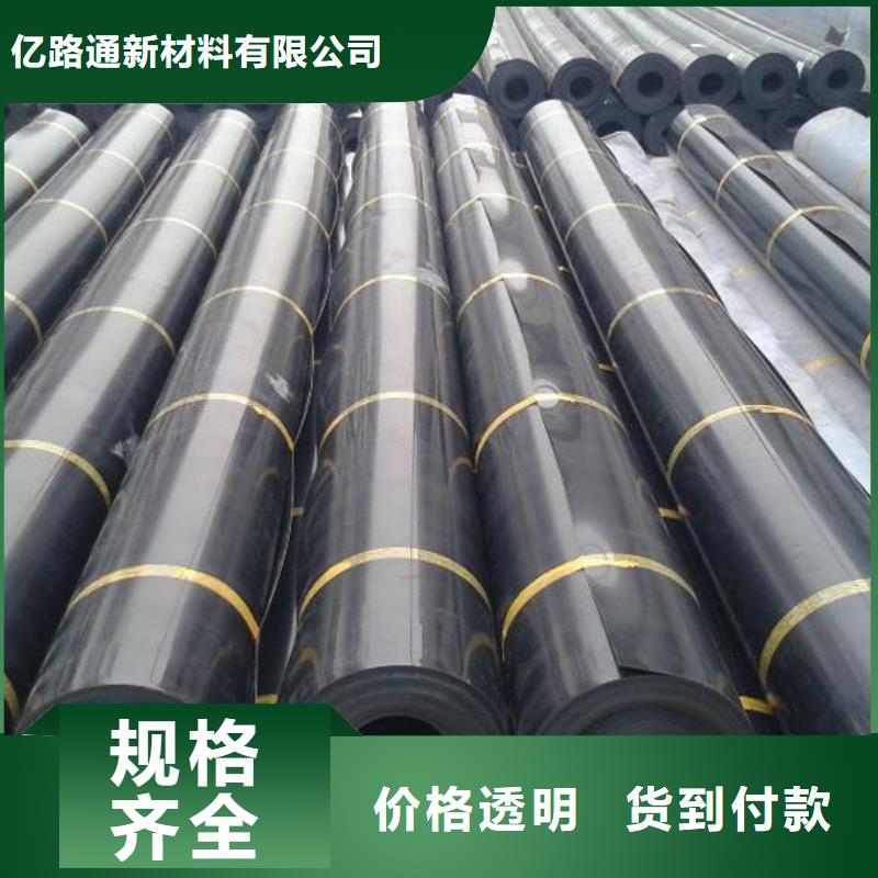 土工膜双向塑料土工格栅精选货源