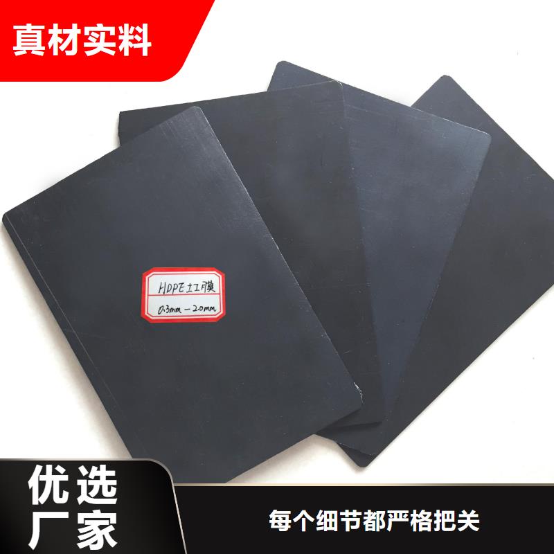 土工膜双向塑料土工格栅精选货源