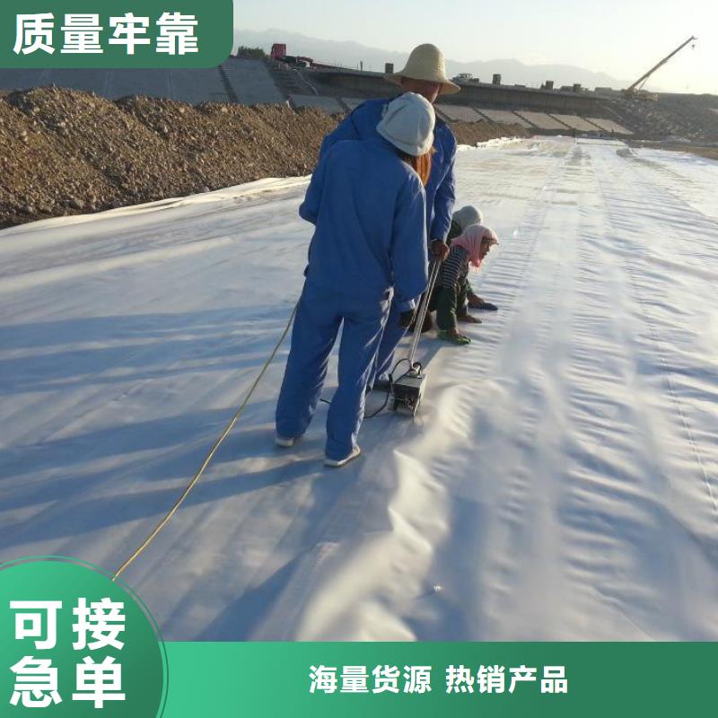 土工膜钢塑土工格栅一致好评产品