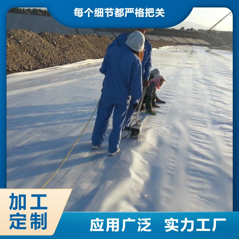 【土工膜】透水土工布源头厂家