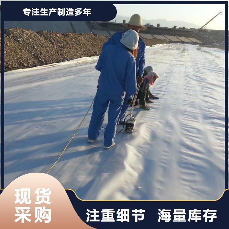 【土工膜】凸结点钢塑土工格栅大品牌值得信赖