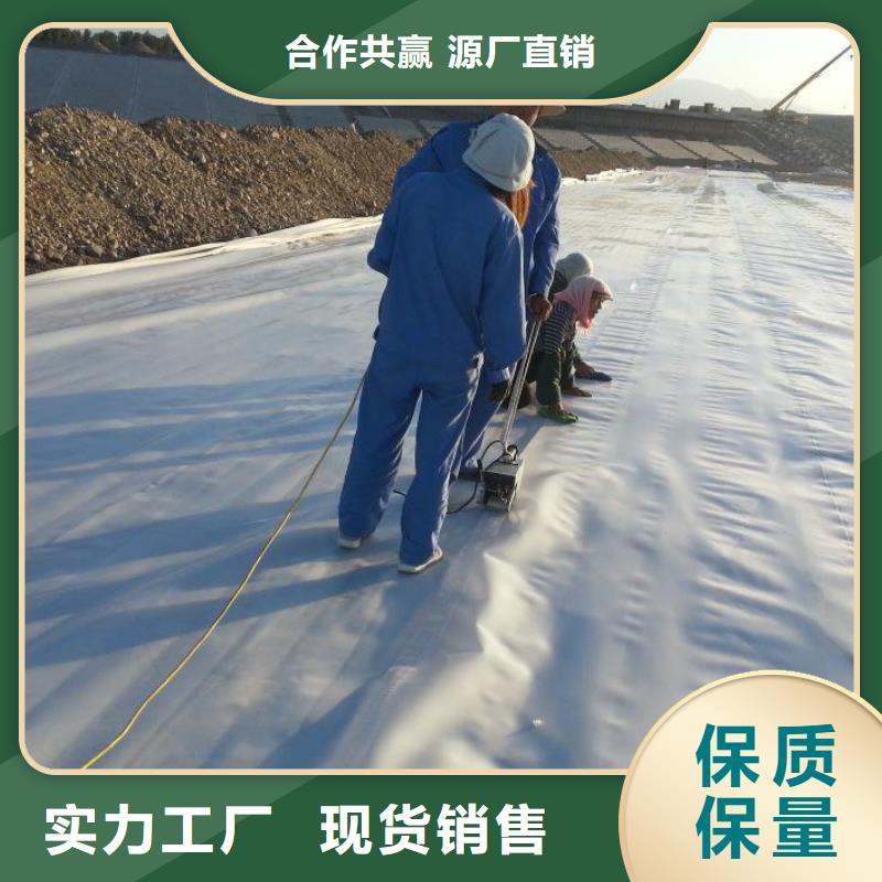 土工膜无纺布免费询价