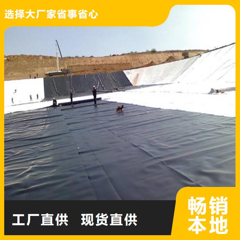 土工膜双向塑料土工格栅精选货源