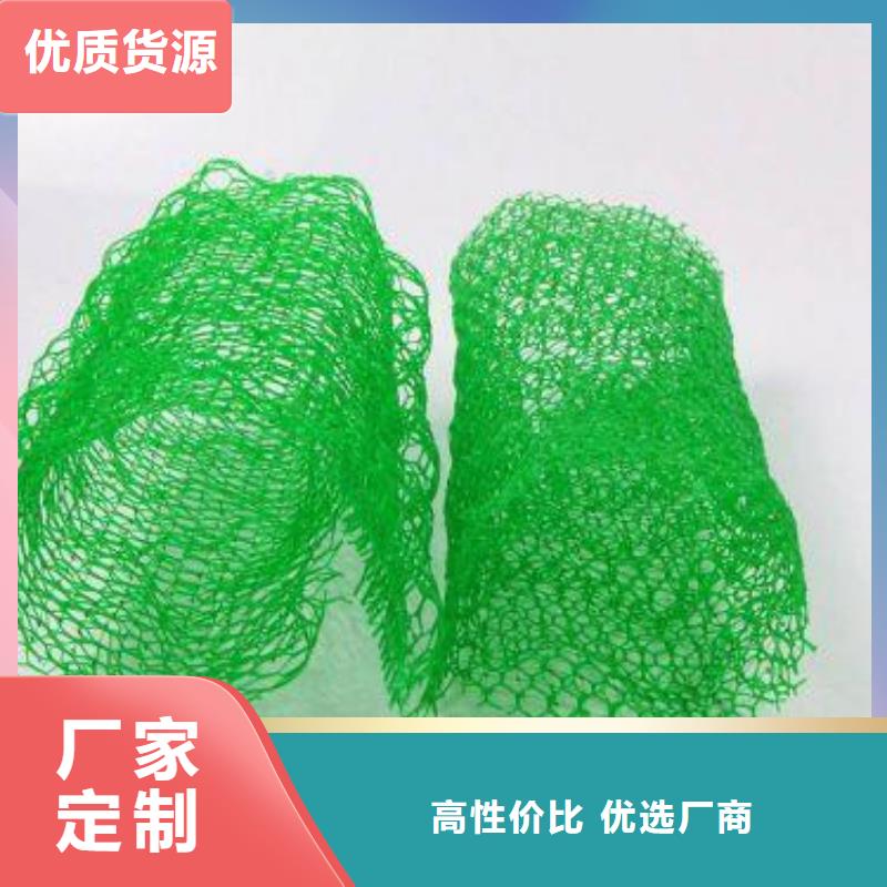 三维植被网-土工布用心制造
