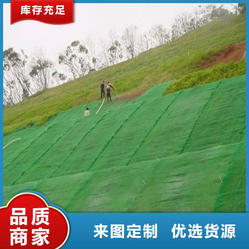 三维植被网凸结点钢塑土工格栅品质服务