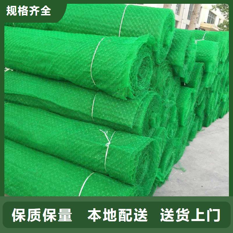 三维植被网凸结点钢塑土工格栅品质服务
