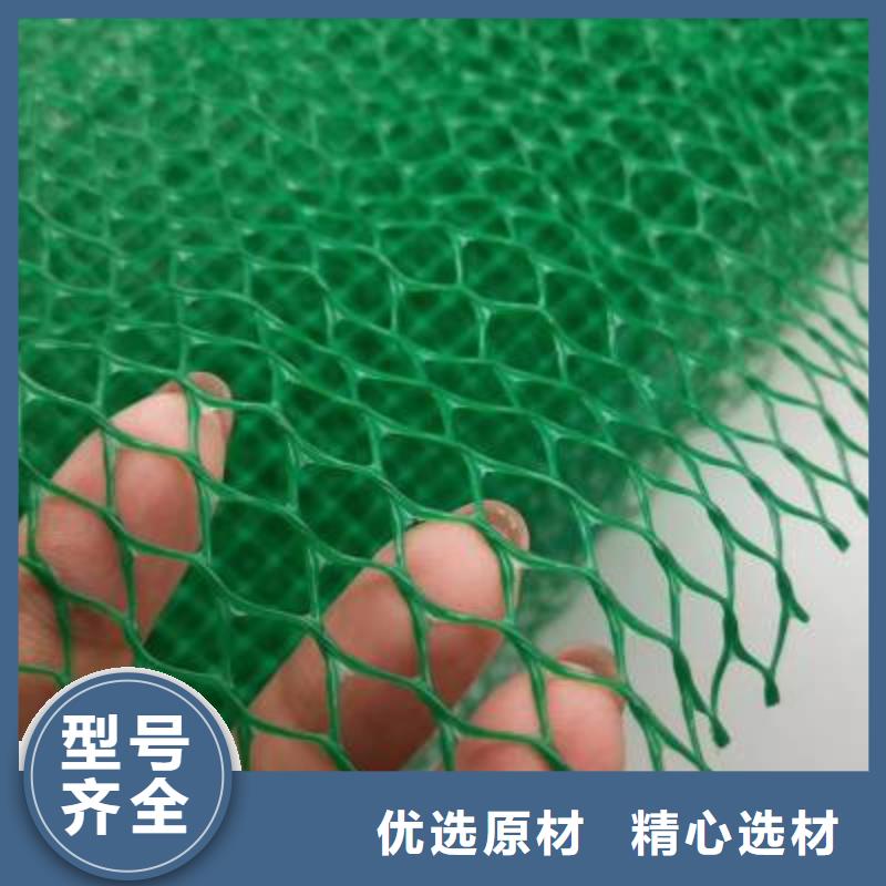 三维植被网凸结点钢塑土工格栅品质服务