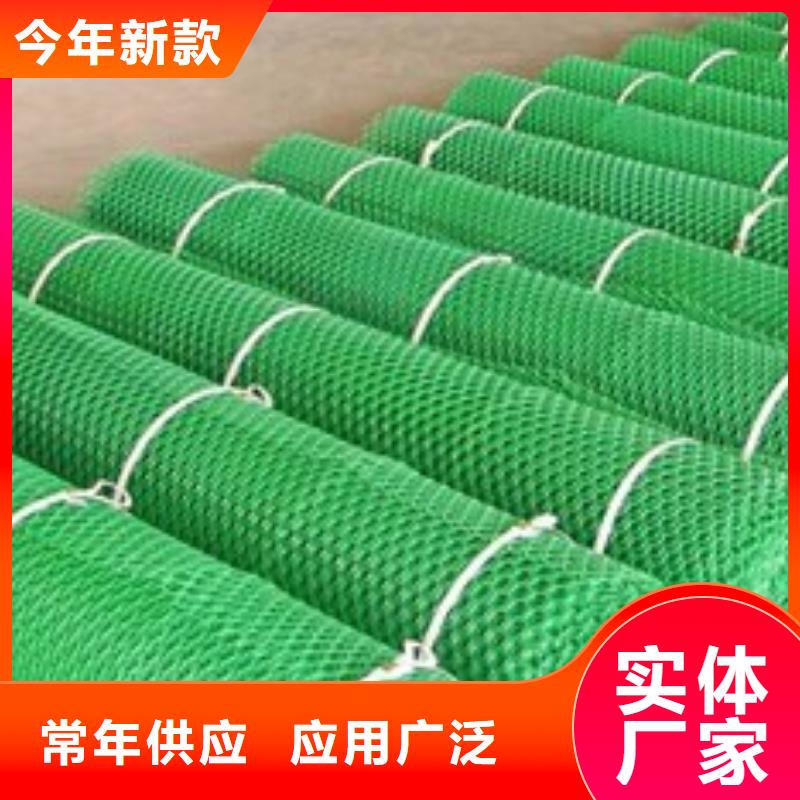 三维植被网-土工布用心制造