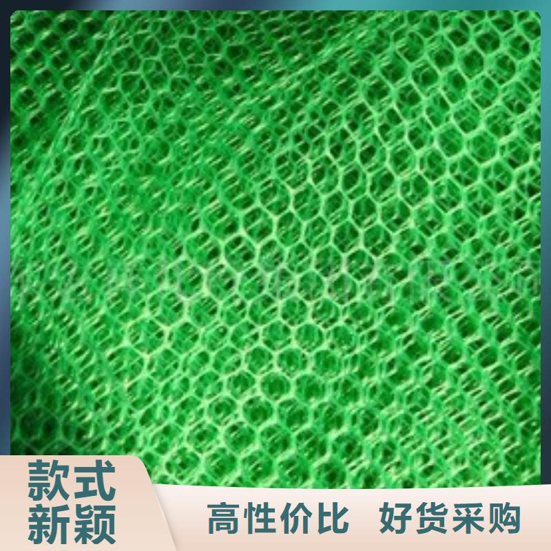 三维植被网-土工布用心制造
