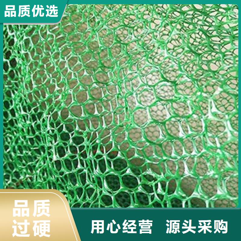 三维植被网-土工布用心制造