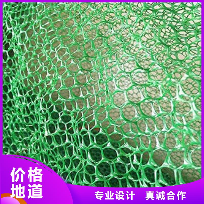 三维植被网-土工布用心制造