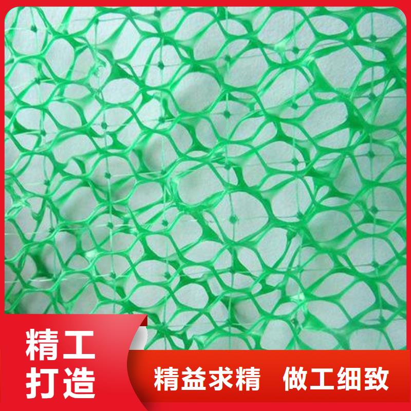 三维植被网-土工布用心制造