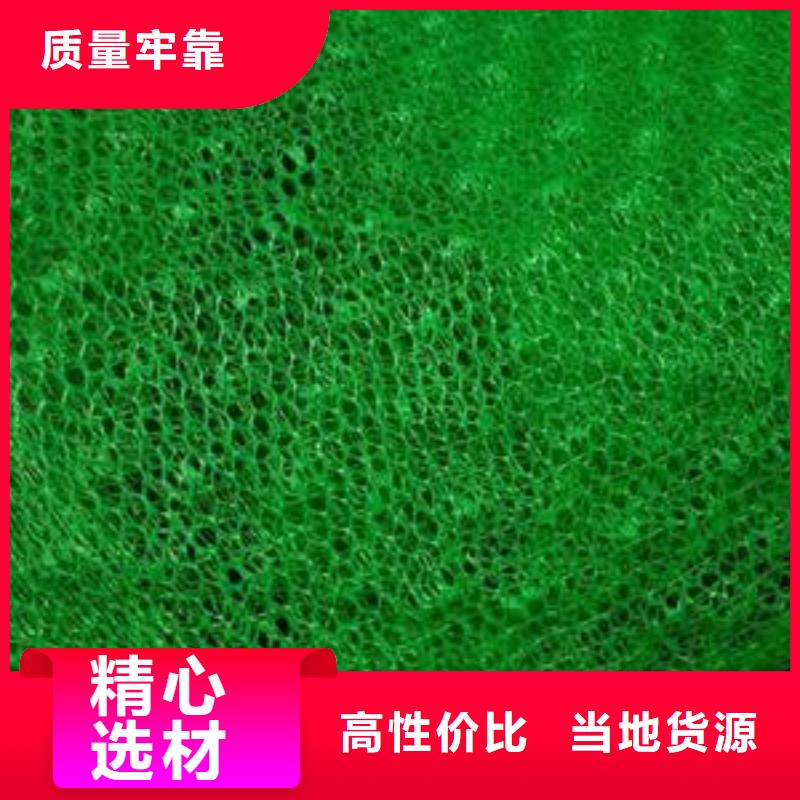 三维植被网-土工布用心制造