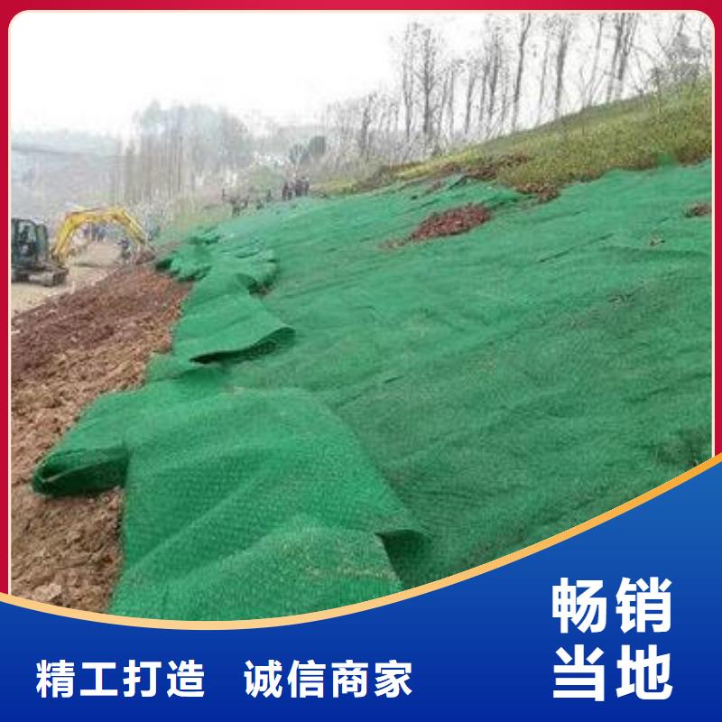 三维植被网-土工布用心制造