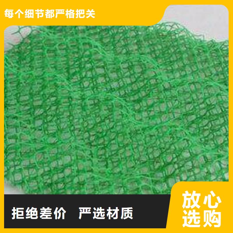 三维植被网-土工布用心制造