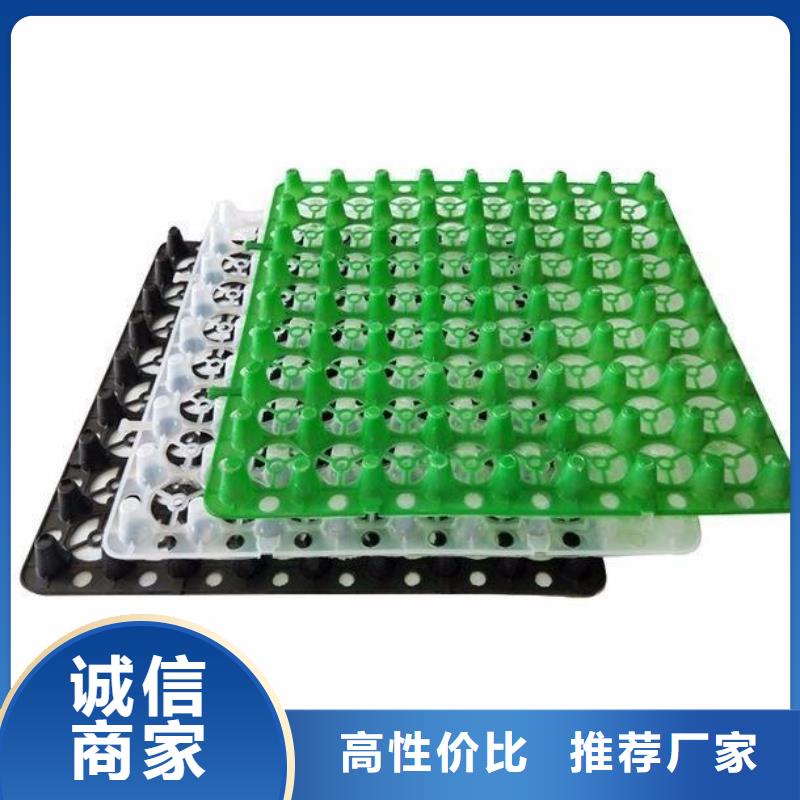 塑料排水板_复合土工膜物美价优
