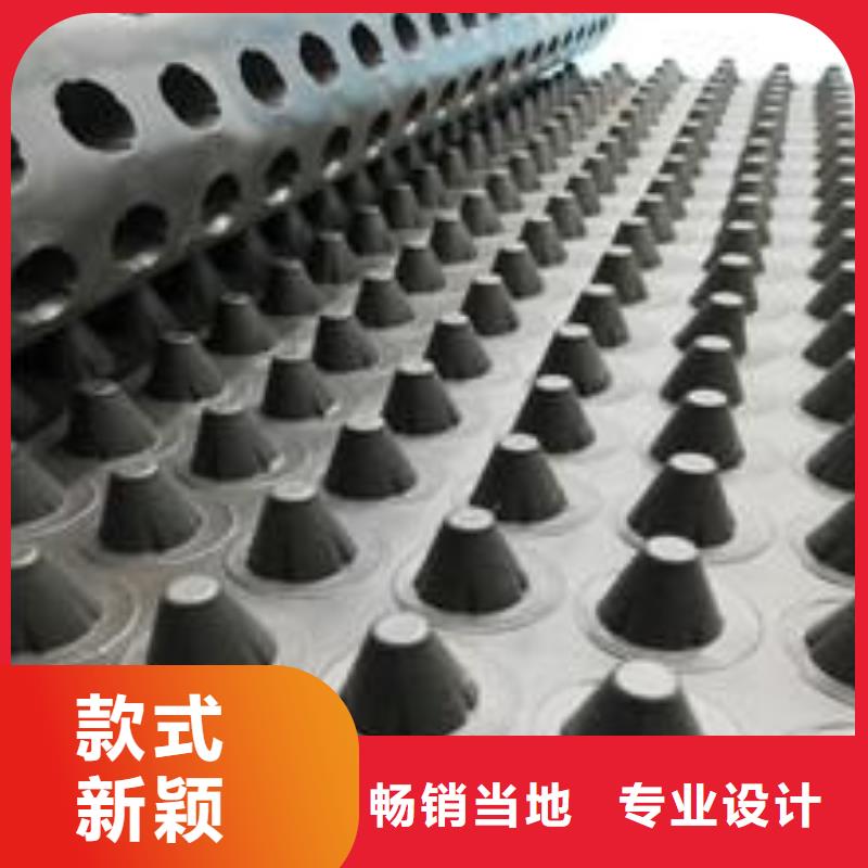 塑料排水板膨润土防水毯质量优价格低
