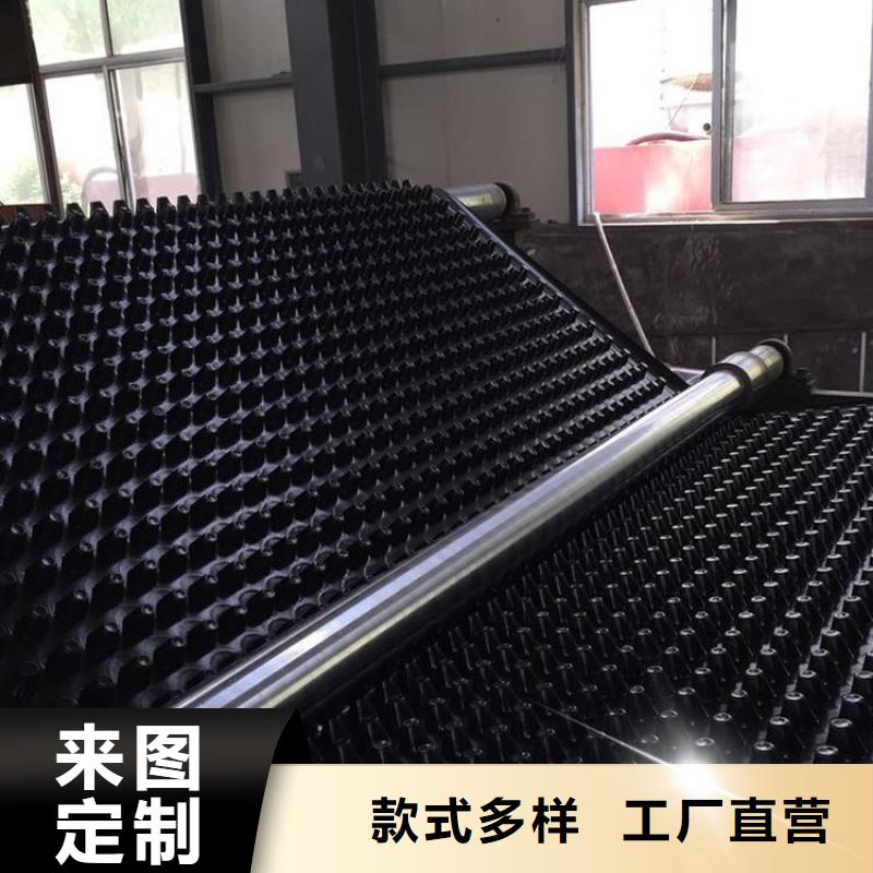 【塑料排水板,三维土工网垫厂家货源】