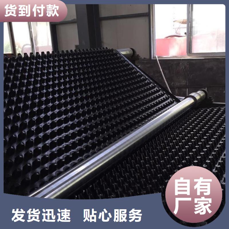 塑料排水板玻纤土工格栅库存量大