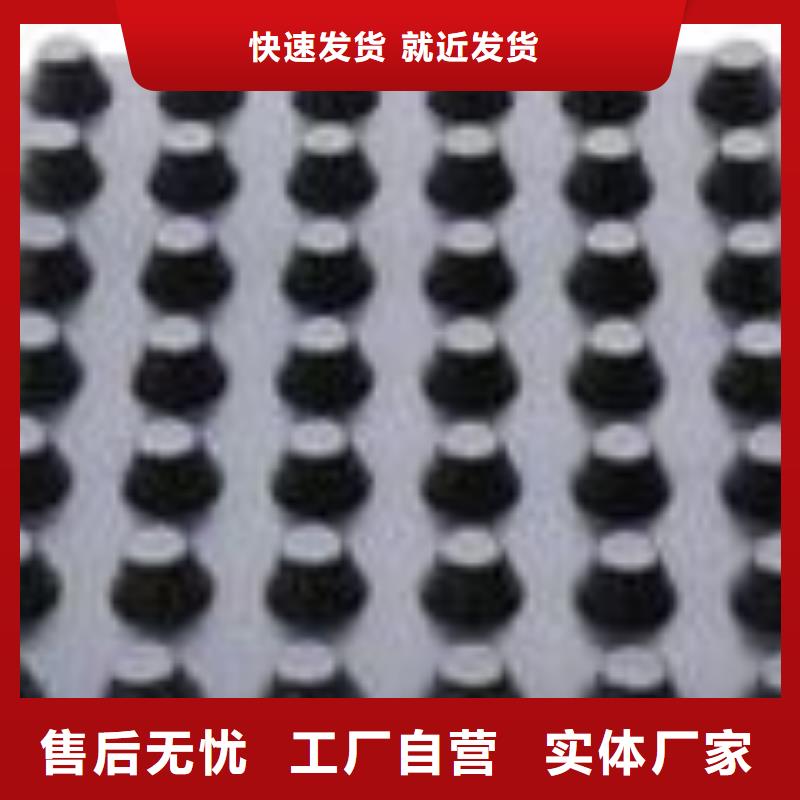 塑料排水板_复合土工膜物美价优