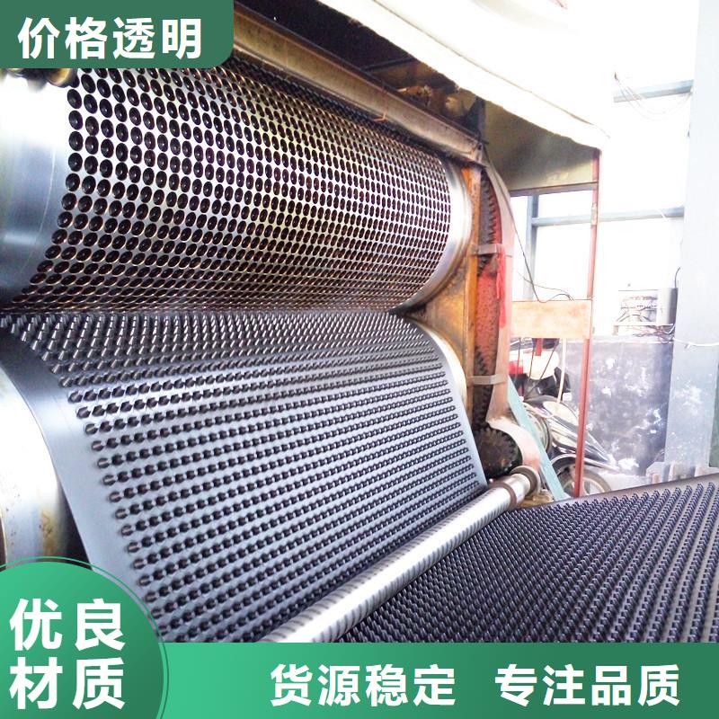 塑料排水板护坡土工网源头厂家来图定制