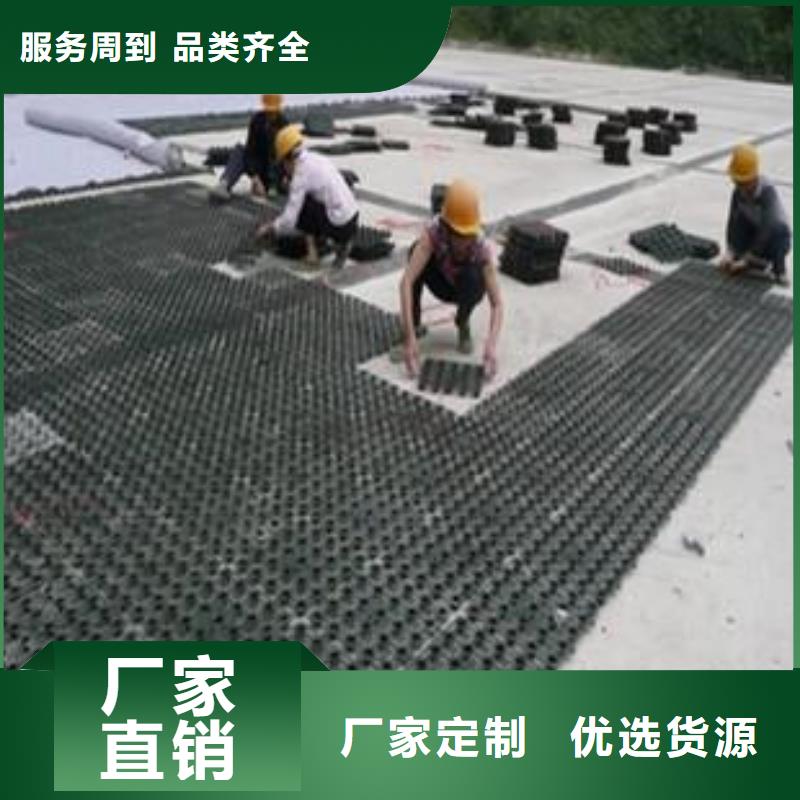 塑料排水板,钢塑土工格栅现货快速采购