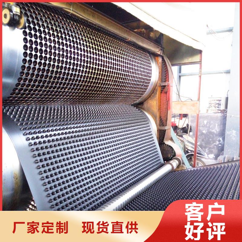 塑料排水板玻纤土工格栅库存量大