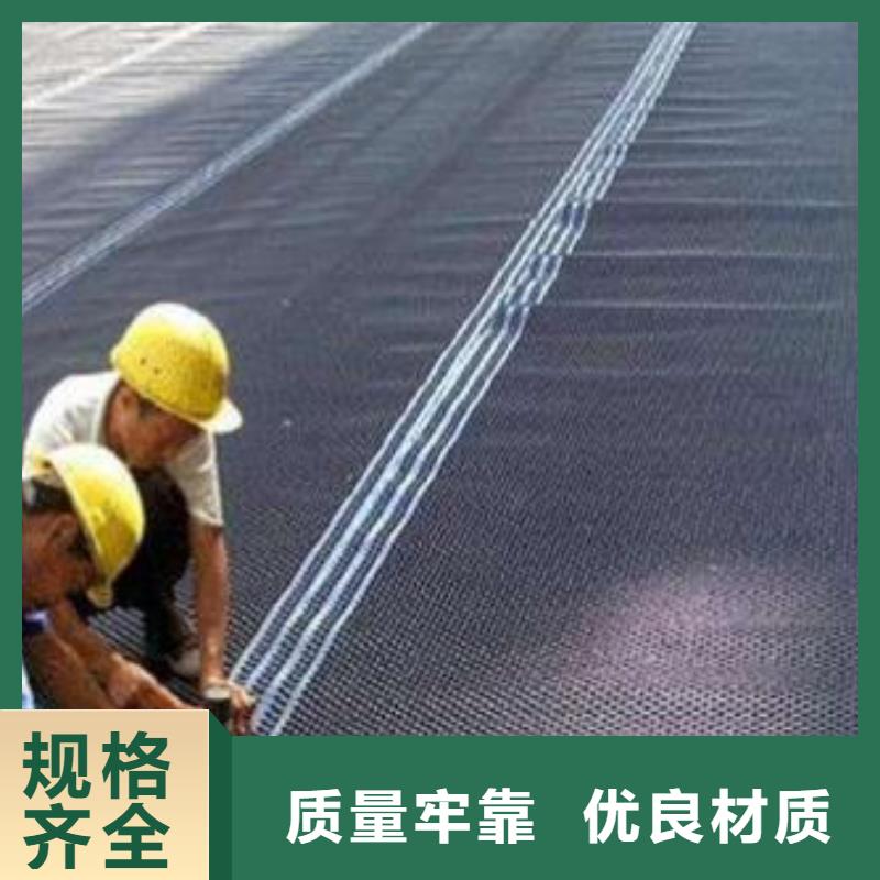 【塑料排水板】三维土工网垫满足客户需求