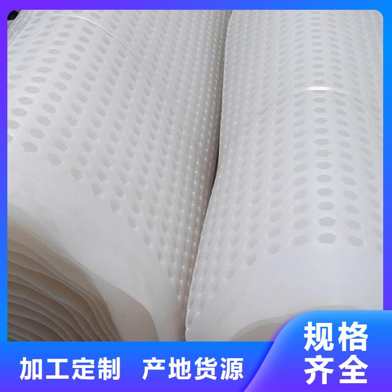 【塑料排水板,三维土工网垫厂家货源】