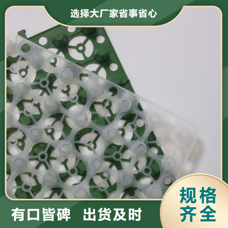 塑料排水板,钢塑土工格栅现货快速采购