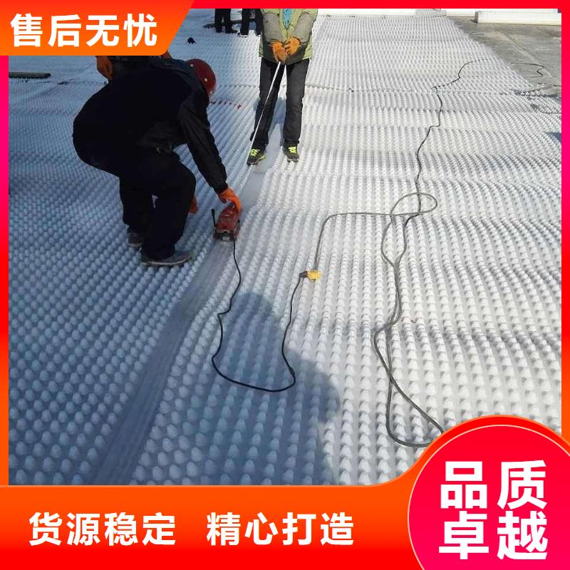 塑料排水板护坡土工网源头厂家来图定制