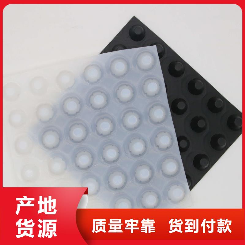 塑料排水板产地直供