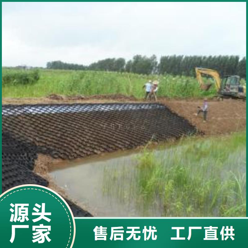 【土工格室】_塑料土工格栅厂家实力雄厚