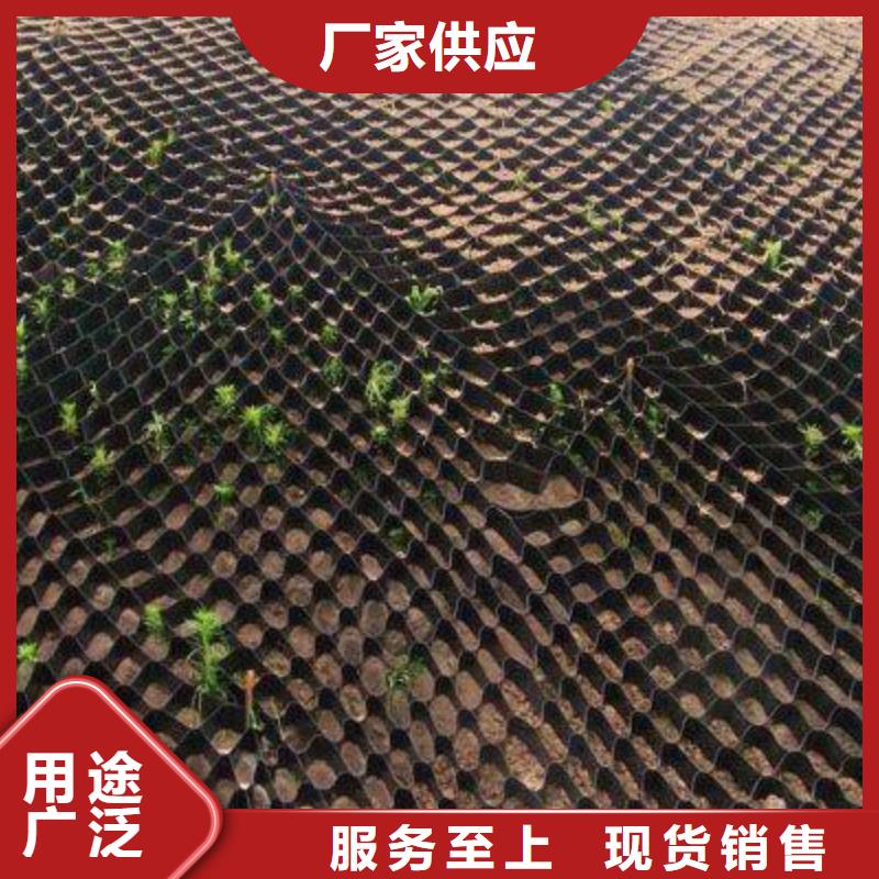 土工格室_复合土工膜工厂价格
