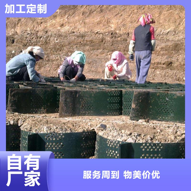 土工格室-膨润土防水毯现货销售