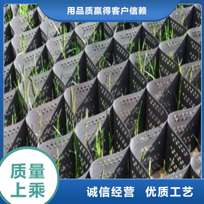 土工格室_复合土工膜工厂价格