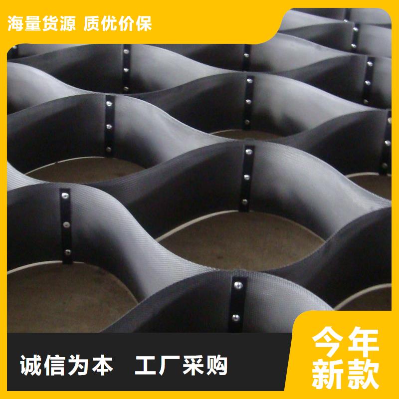 土工格室_复合土工膜工厂价格