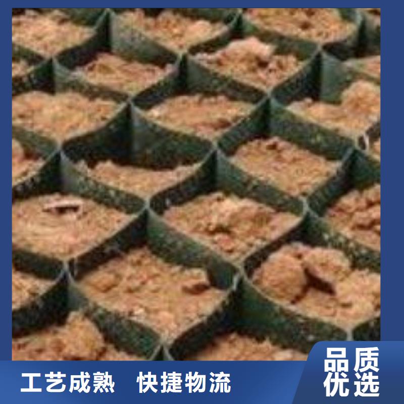 土工格室_复合土工膜工厂价格
