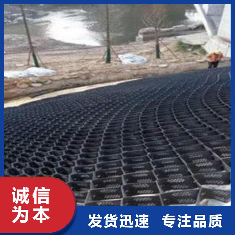 土工格室_复合土工膜工厂价格