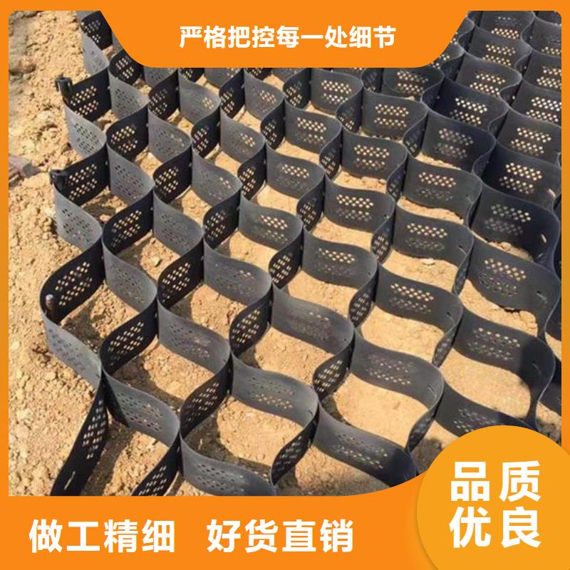 土工格室_复合土工膜工厂价格
