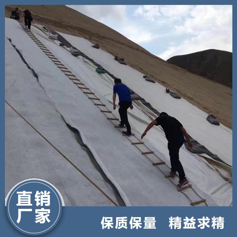 三维复合排水网土工布打造好品质