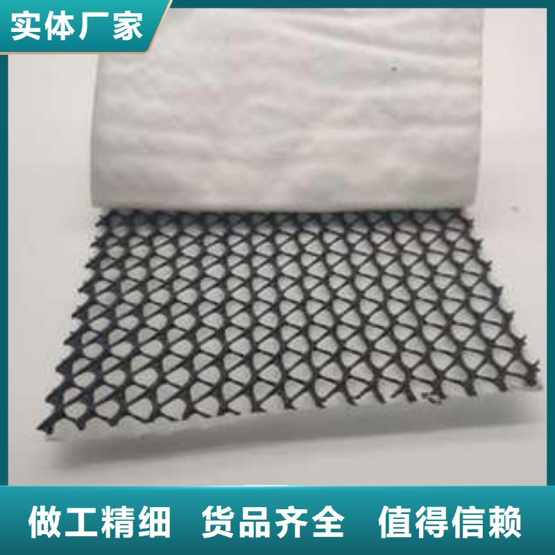 三维复合排水网钢塑土工格栅种类多质量好