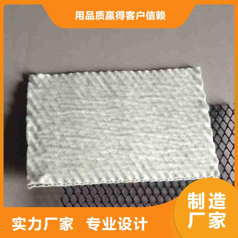 三维复合排水网塑料土工格栅准时交付