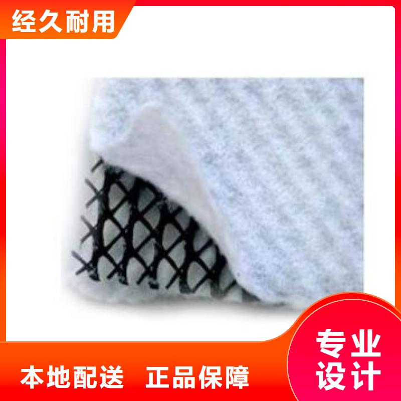 三维复合排水网塑料土工格栅准时交付