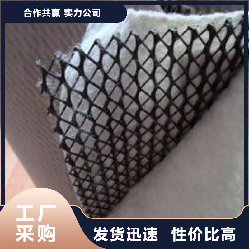 三维复合排水网工程布经验丰富质量放心