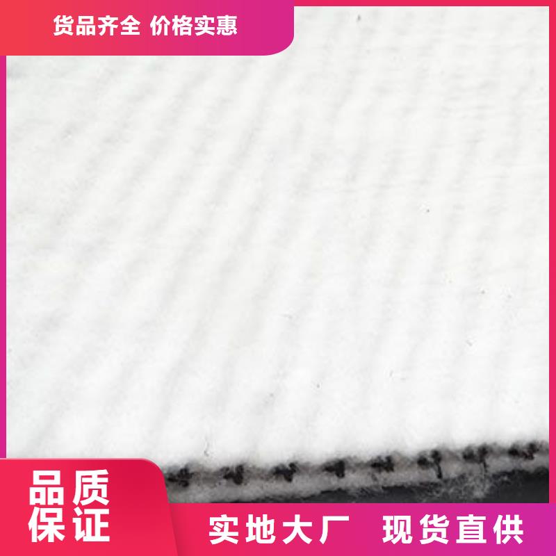 三维复合排水网塑料土工格栅准时交付