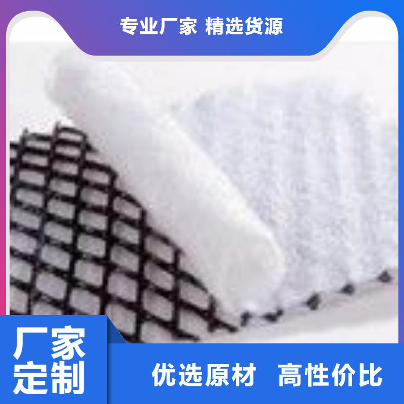 三维复合排水网塑料土工格栅准时交付