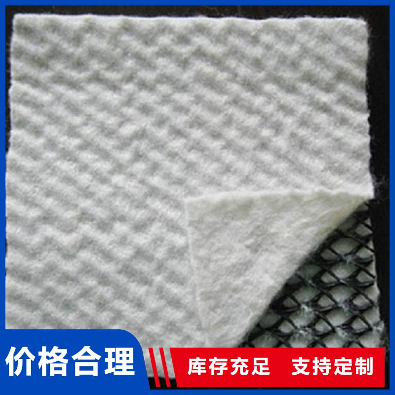 三维复合排水网塑料土工格栅准时交付