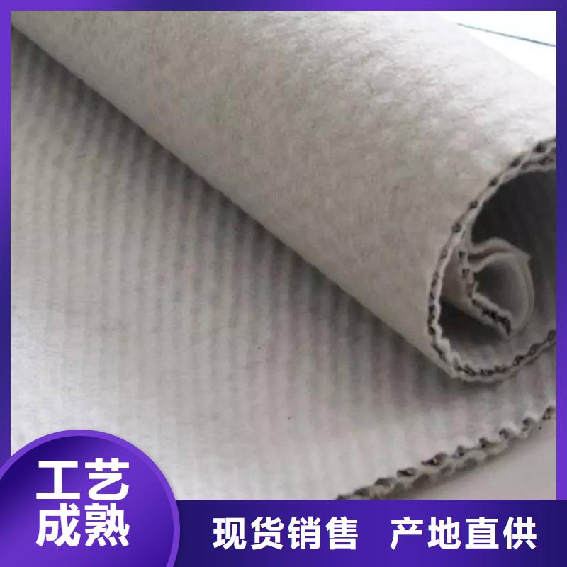 三维复合排水网土工布打造好品质
