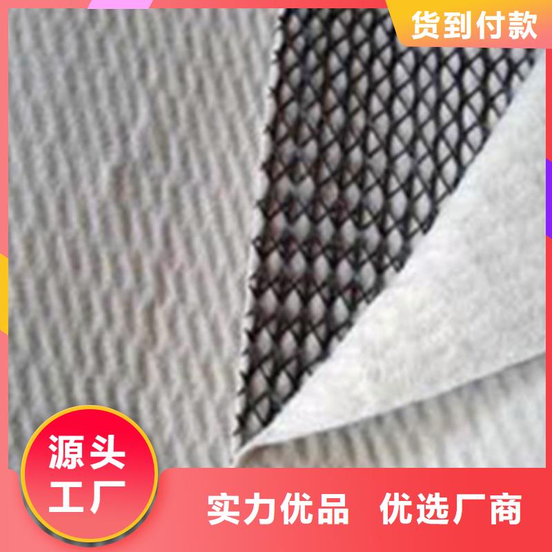 三维复合排水网塑料土工格栅准时交付